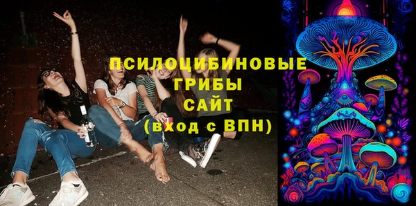 ПСИЛОЦИБИНОВЫЕ ГРИБЫ Арсеньев