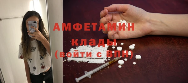 ПСИЛОЦИБИНОВЫЕ ГРИБЫ Арсеньев