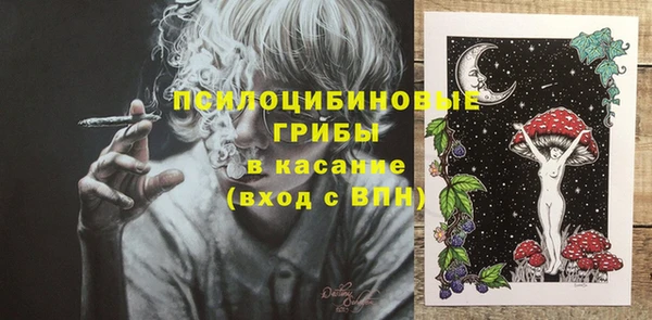 тгк Аркадак