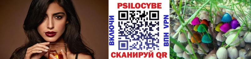 кракен зеркало  Котово  Псилоцибиновые грибы Psilocybe 